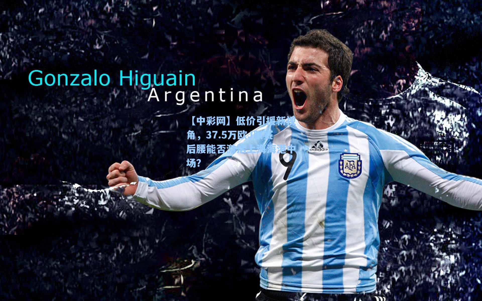 低价引援新视角,37.5万欧J联赛后腰能否激活上海海港中场?