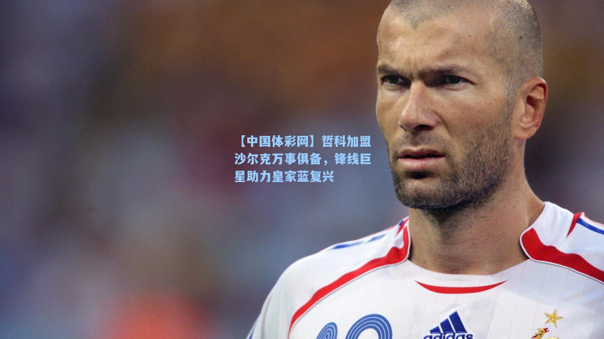 哲科加盟沙尔克万事俱备，锋线巨星助力皇家蓝复兴